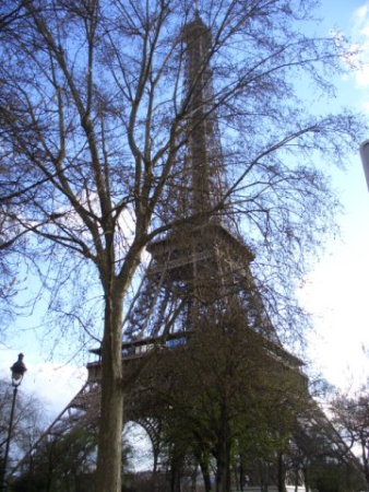 Sistemati i bagagli in camera via per la Torre Eiffel. La torre è veramente ciò che ti fa pensare alla Francia grande. Tutta in ferro forgiato. Le travi imbullonate una ad una. Sono salito in ascensore fino alla sommità e lì, durante la salita, si è alzato il vento e una bufera di neve ha colpito la torre. Veramente fantastico prendere la neve sulla torre Eifell, ma attenzione solo a quota 300m, perchè poi più in basso era solo pioggia. Una curiosità; la torre doveva essere demolita dopo la sua costruzione per l'esposizione di inizio secolo '900, ma grazie all'installazione di una stazione radio per l'esercito francese fu preservata. Tuttora è sede di ripetitori della Tv francese.